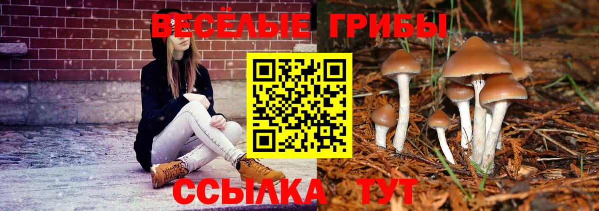 Псилоцибиновые грибы мухоморы  Вход с VPN  Галлюциногенные грибы Psilocybine cubensis  Ухта 